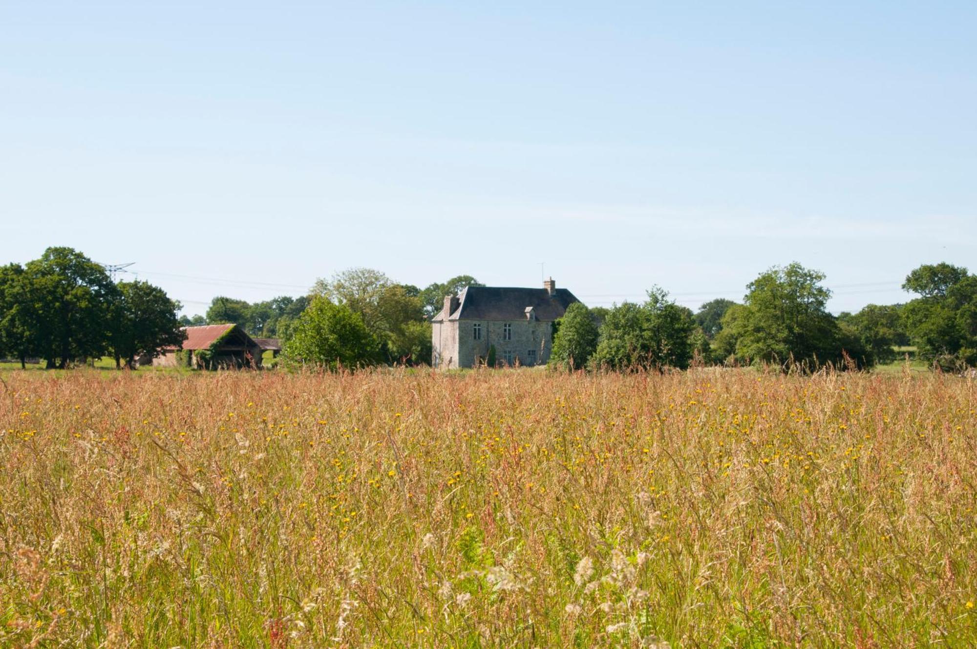 La Maison Des Tilleuls Saint-Germain-Sur-Seves Екстериор снимка